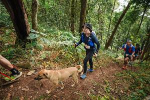 BIB: 
                            <button type="button" onclick="openModal(22467335)" class="btn btn-primary btn-sm float-right btn-popup" data-toggle="modal" data-target=".modal-high-quality">
                        <i class="fas fa-shopping-cart"></i> Add to Cart
                    </button>
                                            <button type="button" onclick="isThisMe(22467335, true)" class="btn btn-success btn-sm float-right btn-popup btn-isme hidden" data-toggle="tooltip" data-placement="bottom" title="นี่คือรูปของคุณใช่ไหม คลิกที่นี่เพื่อเอาเข้าอัลบั้ม">
                        <i class="fas fa-plus"></i> Add to album
                    </button>
                    <button type="button" onclick="isThisMe(22467335, false)" class="btn btn-warning btn-sm float-right btn-popup btn-isnotme hidden">
                        <i class="fas fa-ban"></i> Remove from album
                    </button>